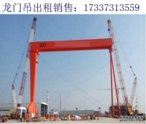 广东江门龙门吊厂家 提供出所需的设备造价