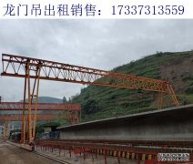 广东珠海龙门吊厂家 单双梁门式起重机的区别