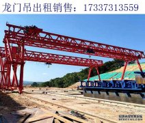 广东河源龙门吊厂家 龙门吊行走轮箱常见的故障