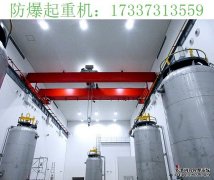 广东湛江防爆起重机厂家 引起起重链的注意
