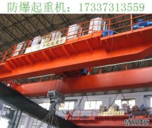 10吨防爆起重机销售 丽水防爆起重机厂家