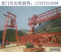 关于如何选择适合的龙门吊卷线器 广州龙门吊租
