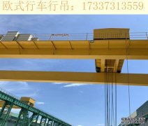 关于欧式起重机的年检流程 广东欧式行吊生产厂
