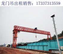 浙江杭州龙门吊厂家 关于门式起重机突发故障时